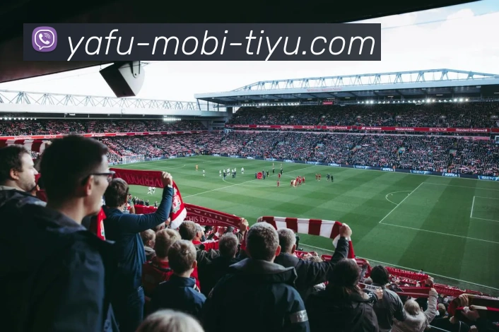 多媒体互动体验