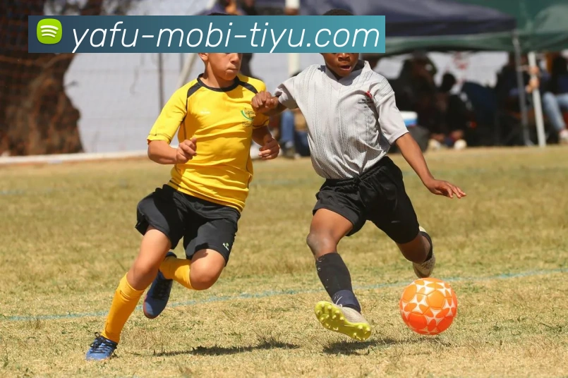 亚博体育APP 高清赛事图